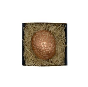 Čokolandia Čokoládový orgán - Mozek