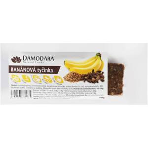 Damodara Ovocná tyčinka banánová s kardamonem 50g