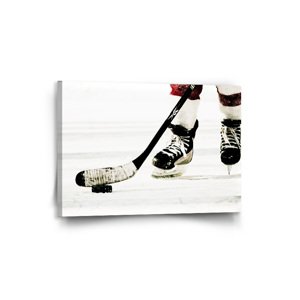 Obraz Lední hokej - 90x60 cm