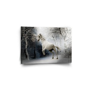 Obraz Bílý kůň - 60x40 cm