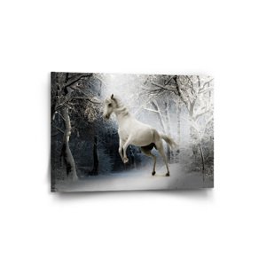 Obraz Bílý kůň - 90x60 cm