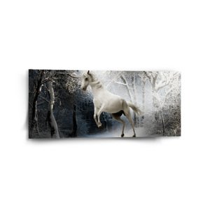 Obraz Bílý kůň - 110x50 cm