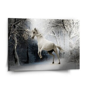 Obraz Bílý kůň - 150x110 cm