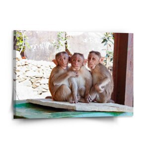 Obraz Opičky - 150x110 cm