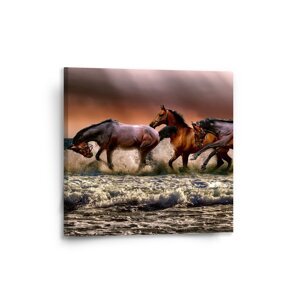 Obraz Koně ve vodě - 50x50 cm