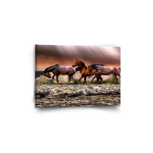 Obraz Koně ve vodě - 60x40 cm