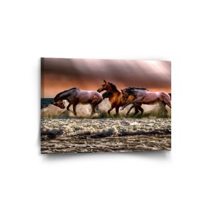 Obraz Koně ve vodě - 90x60 cm