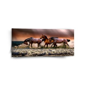 Obraz Koně ve vodě - 110x50 cm