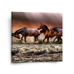 Obraz Koně ve vodě - 110x110 cm