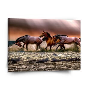Obraz Koně ve vodě - 150x110 cm