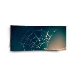Obraz Pavučina - 110x50 cm
