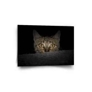 Obraz Kočka - 90x60 cm