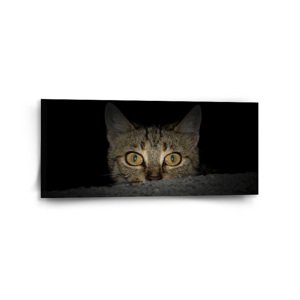 Obraz Kočka - 110x50 cm