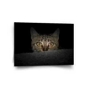 Obraz Kočka - 120x80 cm
