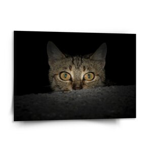 Obraz Kočka - 150x110 cm
