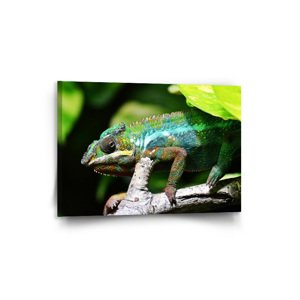 Obraz Chameleon - 90x60 cm