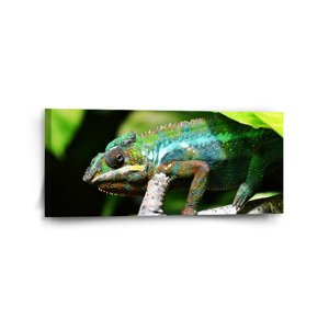 Obraz Chameleon - 110x50 cm