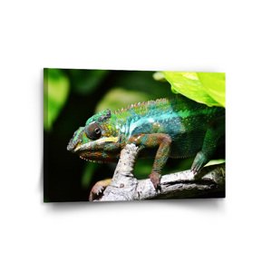 Obraz Chameleon - 120x80 cm