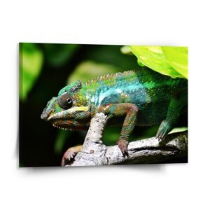 Obraz Chameleon - 150x110 cm