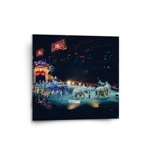 Obraz Cirkus - 50x50 cm