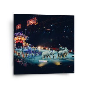 Obraz Cirkus - 110x110 cm