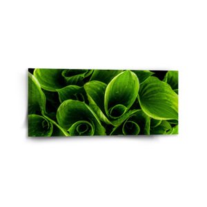 Obraz Zelené listy - 110x50 cm
