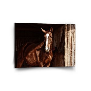 Obraz Kůň ve stáji - 150x110 cm