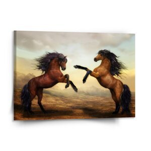 Obraz Vzpínající se koně - 150x110 cm