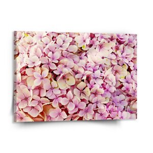 Obraz Růžové květy - 150x110 cm
