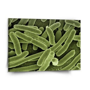 Obraz Bakterie - 150x110 cm