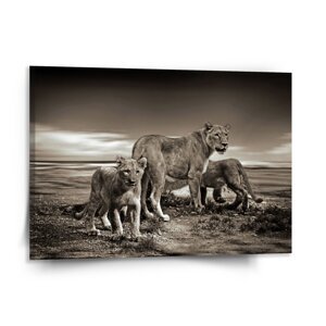 Obraz Lvice a lvíčata - 150x110 cm