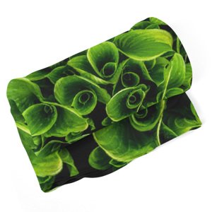 Deka Zelené listy - 190x140 cm