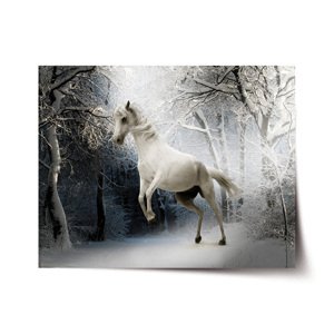 Plakát Bílý kůň - 90x60 cm