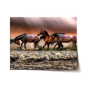 Plakát Koně ve vodě - 120x80 cm