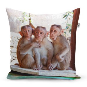 Polštář Opičky - 50x50 cm