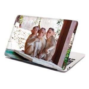 Samolepka na notebook Opičky - 29x20 cm