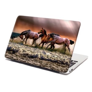 Samolepka na notebook Koně ve vodě - 29x20 cm