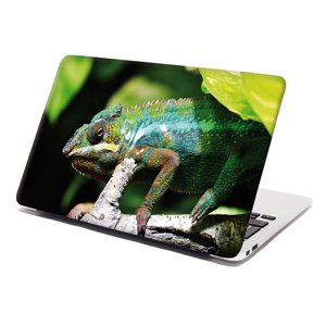 Samolepka na notebook Chameleon - 29x20 cm