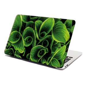 Samolepka na notebook Zelené listy - 29x20 cm
