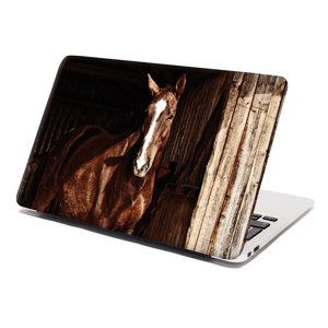 Samolepka na notebook Kůň ve stáji - 29x20 cm