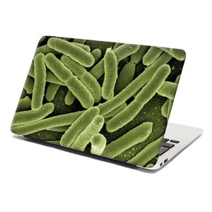Samolepka na notebook Bakterie - 38x26 cm