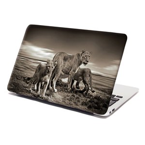 Samolepka na notebook Lvice a lvíčata - 29x20 cm
