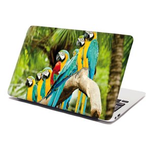 Samolepka na notebook Papoušci na větvi - 29x20 cm