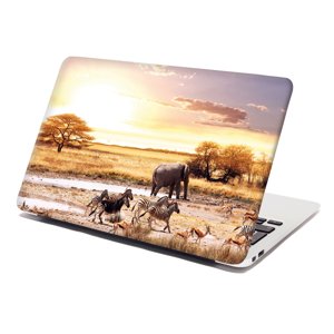 Samolepka na notebook Safari - 29x20 cm