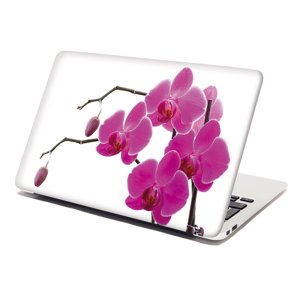 Samolepka na notebook Fialové orchideje - 29x20 cm