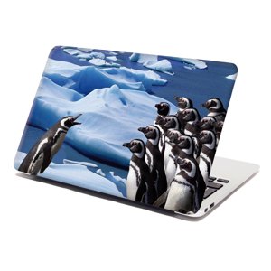 Samolepka na notebook Tučňáci - 29x20 cm