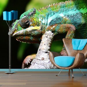 Tapeta Chameleon - 125x75 cm