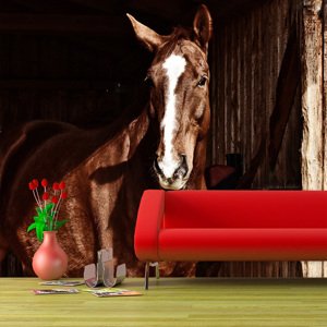 Tapeta Kůň ve stáji - 125x75 cm