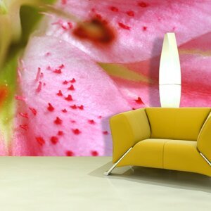 Tapeta Květ tulipánu - 208x125 cm