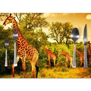 Prostírání Žirafy: 40x30cm